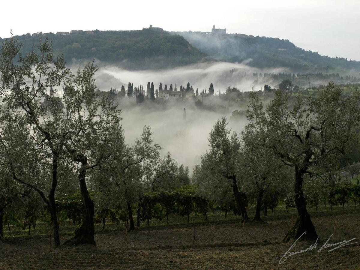 Holiday Home La Voce Del Silenzio By Interhome Volterra Exterior foto
